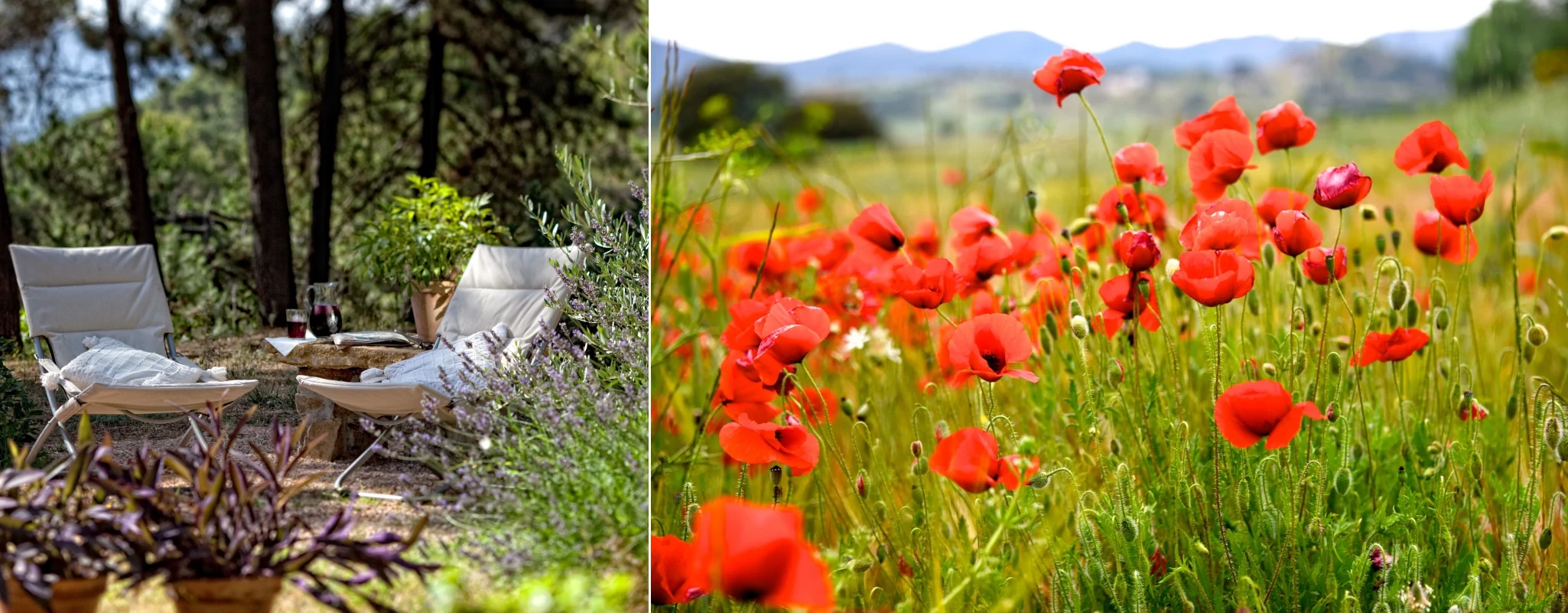 Ecologia e Natureza